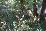 2007_0924_Oxbow 137
