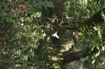 2007_0924_Oxbow 138