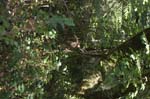 2007_0924_Oxbow 139