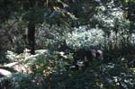 2007_0924_Oxbow 140