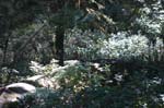 2007_0924_Oxbow 141