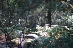 2007_0924_Oxbow 142