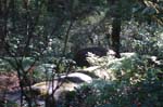 2007_0924_Oxbow 143