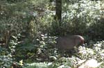2007_0924_Oxbow 144