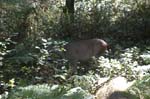 2007_0924_Oxbow 145