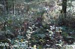 2007_0924_Oxbow 146