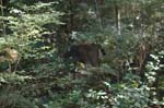 2007_0924_Oxbow 147