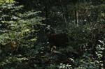 2007_0924_Oxbow 148