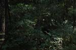 2007_0924_Oxbow 149