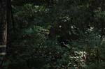 2007_0924_Oxbow 150