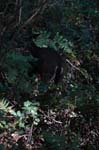 2007_0924_Oxbow 151