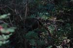 2007_0924_Oxbow 152