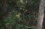 2007_0924_Oxbow 153