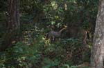 2007_0924_Oxbow 154