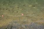 2007_0924_Oxbow 178
