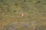 2007_0924_Oxbow 179
