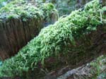 2007_09_25_oxbow 001