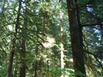 2007_09_25_oxbow 002