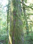 2007_09_25_oxbow 005