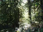 2007_09_25_oxbow 013