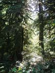 2007_09_25_oxbow 014