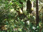 2007_09_25_oxbow 020