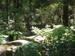 2007_09_25_oxbow 022