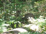 2007_09_25_oxbow 023