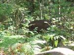 2007_09_25_oxbow 024