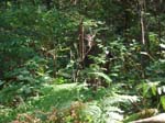 2007_09_25_oxbow 025