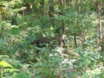 2007_09_25_oxbow 027