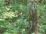 2007_09_25_oxbow 029