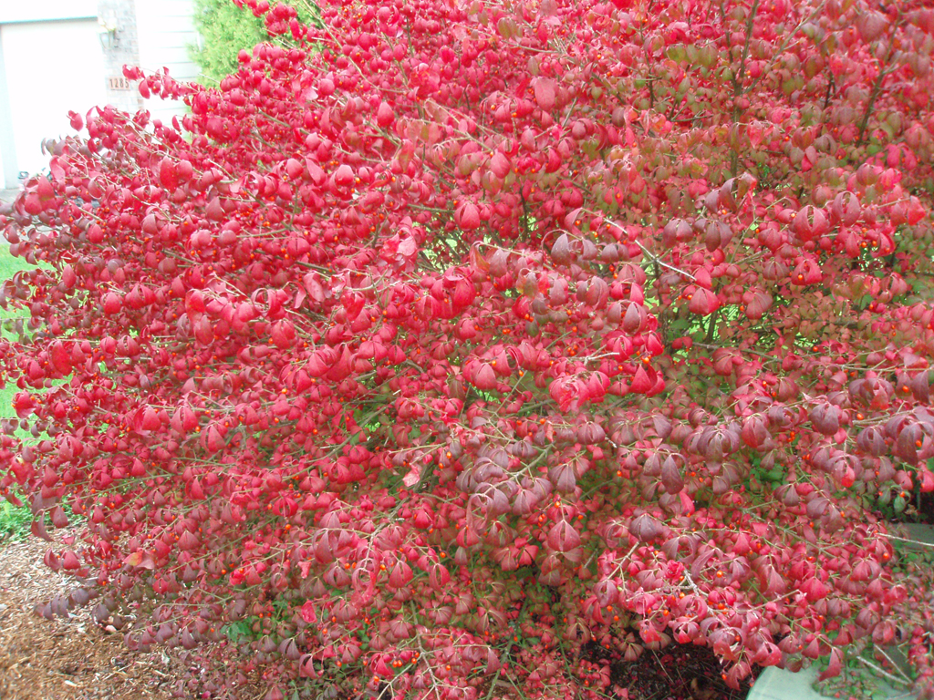 2007_10_09_fall 003