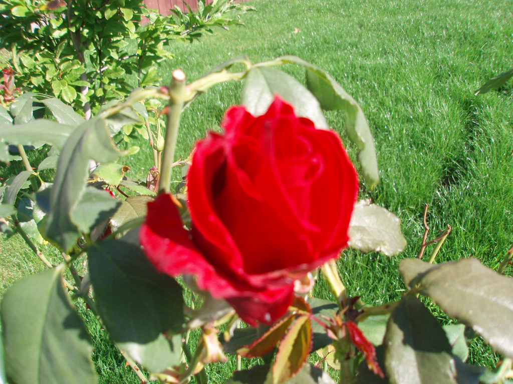 2007_10_14_fall 005