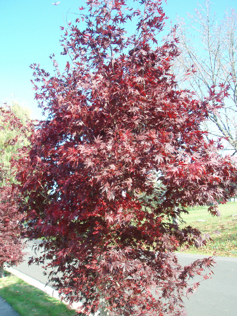 2007_10_30 001