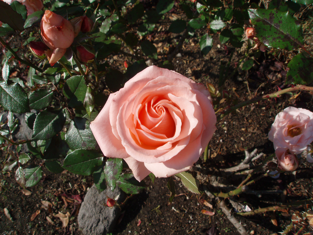 2007_10_30 010