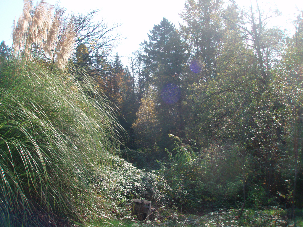2007_10_30 052
