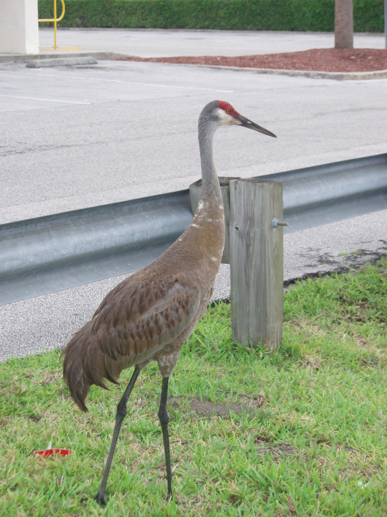 2007_june 008