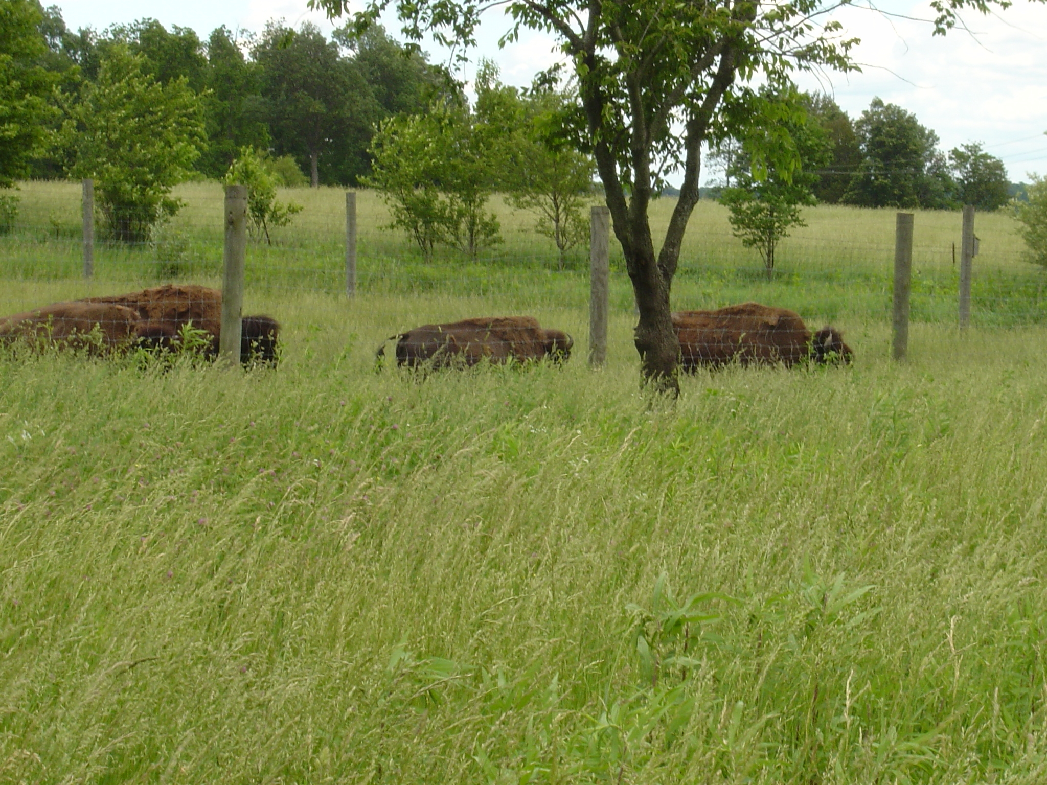 31may04007