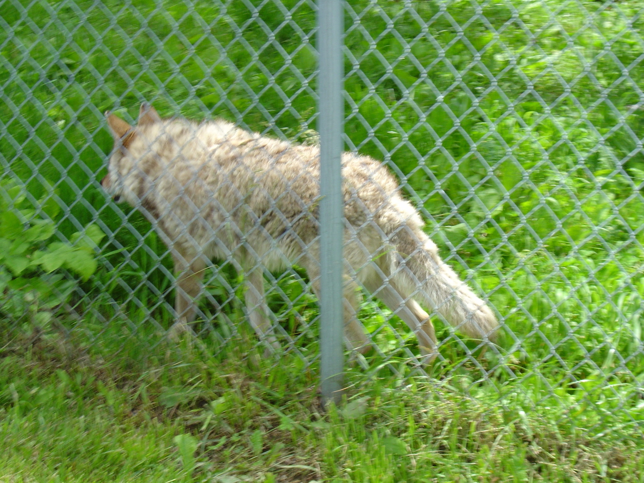 31may04010