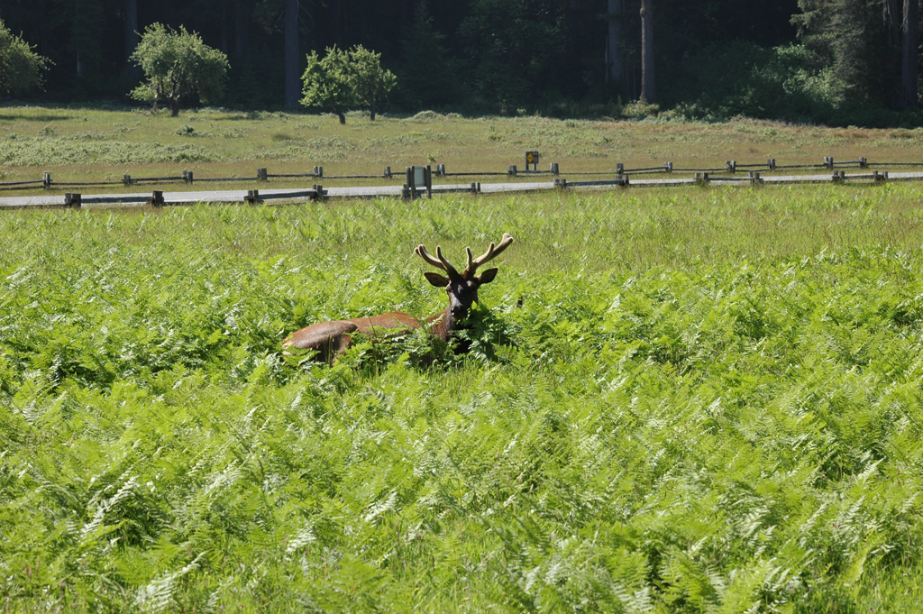 2009_0525_ 260