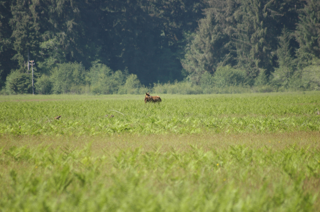 2009_0525_ 300