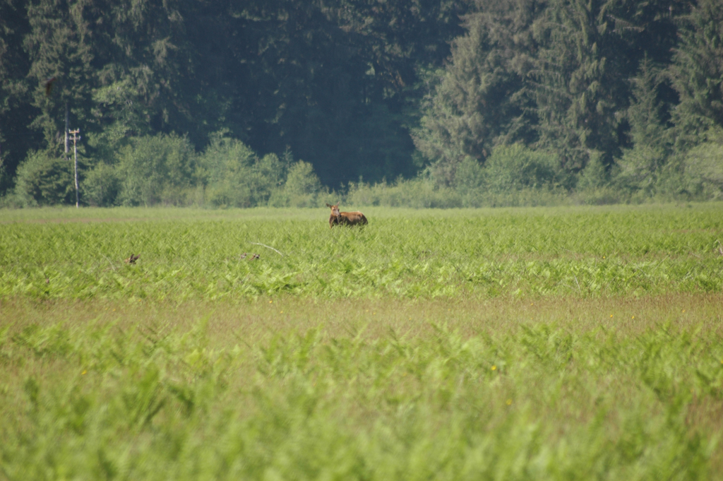 2009_0525_ 301