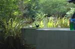2009_0525_ 190
