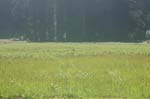 2009_0525_ 218