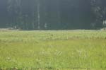 2009_0525_ 219