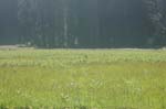 2009_0525_ 220