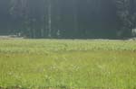 2009_0525_ 221