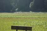 2009_0525_ 222