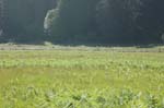 2009_0525_ 223